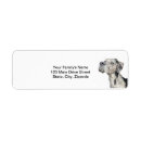 Search for great dane labels dogs