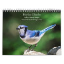 Search for blue calendars Bird