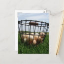 Search for egg basket postcards Eggs