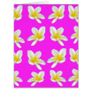Search for frangipani Yellow