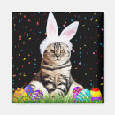 Search for the easter kitty magnets Funny