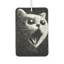 Search for lolcat Meow