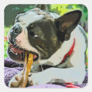 Search for dog and bone stickers Animal
