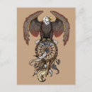 Search for native american symbols postcards Dreamcatcher