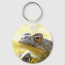Search for toad key rings Nature
