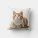 Search for comfy Red