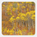 Search for aspen grove stickers Tree