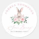Search for bunny girl stickers Rabbit
