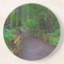 Search for marin coasters Anna miller