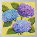 Search for hydrangea posters Flowers