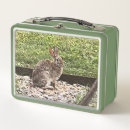 Search for rabbit lunch boxes Animal