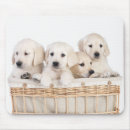 Search for yellow labrador mousepads Retriever
