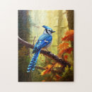 Search for blue jays puzzles Animals