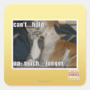 Search for hold up stickers I can has cheezburger