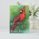 Search for red cardinal birthday cards Bird