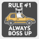 Search for funny cat meme stickers Lovers