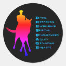 Search for rainbow horse stickers Equestrian