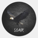 Search for black eagle stickers Bird