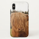Search for cow iphone cases Highland cattle
