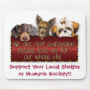 Search for animal shelter mousepads Rescue