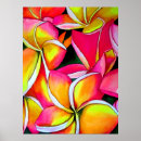 Search for frangipani art Pink