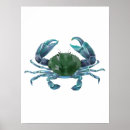 Search for blue crab posters Sea