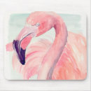 Search for flamingo electronics Animal