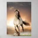 Search for stallion posters Black