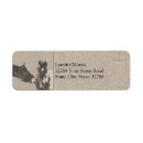 Search for jumper return address labels Dressage