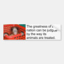 Search for cute animals bumper stickers Baby