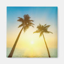 Search for idyllic magnets Tropical