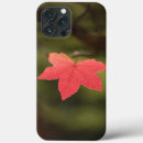 Search for maple leaf iphone cases Botanical