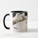 Search for assorted mugs Cindy miller hopkins