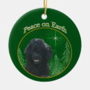 Search for portuguese water dog christmas tree decorations Pwd