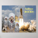 Search for funny cat and dog posters Cute