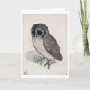 Search for bird picture cards Owl