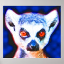 Search for ring tailed posters Wild