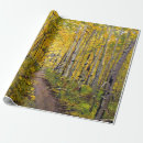 Search for aspen wrapping paper Autumn