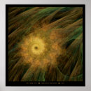 Search for ammonite posters Nature