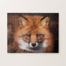 Search for red fox puzzles Wild