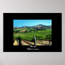 Search for vineyard posters Blue