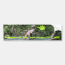 Search for dinosaur bumper stickers T rex