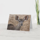 Search for big ears cards Humourous