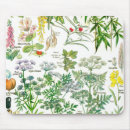 Search for producers mousepads Farm
