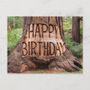 Search for tree trunks cards Outdoors