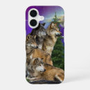 Search for wolf cases Montana