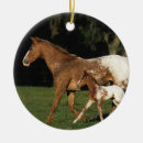 Search for appaloosa horse christmas tree decorations Bob langrish