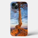 Search for bryce canyon electronics Landscape