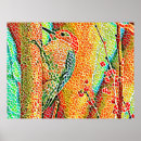 Search for tree collage posters Nature