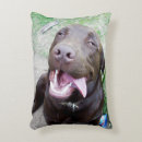 Search for chocolate labrador cushions Pet